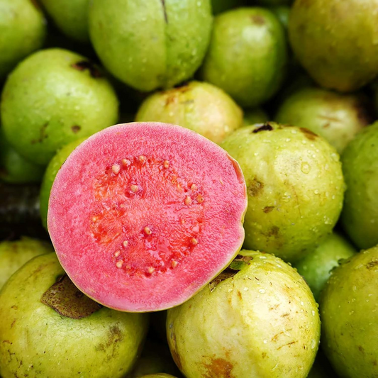 20 Pink Guava Seeds – Psidium guajava, Tropical Fruit Tree, Non-GMO,
