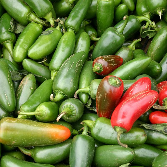 300 Jalapeno M Pepper Seeds - Hot & Spicy | Non-GMO Heirloom | 5,000 SHU Mild Heat | High Yield | USA Seller |