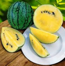 Yellow Doll Seedless Watermelon Seeds - 50+ Sweet Melon Seeds, USA Grown, , High-Yield Vine, Home Garden Favorite