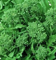 500mg Broccoli Raab Rapini Seeds Brassica rapa | Spring Heirloom Variety | Tender Greens & Edible Flower Buds
