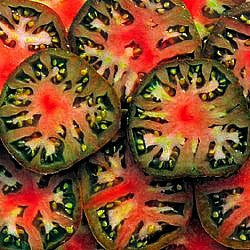 Black Sea Man Tomato Seeds | Heirloom, Non-GMO | 8-12 oz Fruit | 75 Days | USDA Zones 3-10 |
