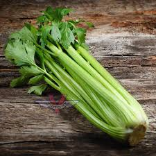 500 Seeds Golden Self-Blanching Celery (Apium graveolens) – Heirloom Variety for Tender, Mild Stalks