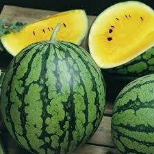 5 Seeds Yellow Petite Watermelon (Citrullus lanatus) – Sweet, Small, Yellow-Fleshed Watermelon Variety