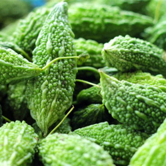 Bitter Melon Dark Jade Hybrid Seeds – 5 Seeds for Planting, High Yield, Vigorous Growth, Heat Tolerant, Garden & Trellis Vine