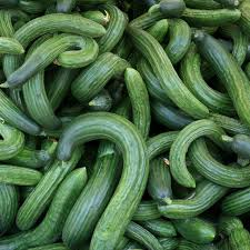 30 Seeds Metki Armenian Dark Green Cucumber (Cucumis melo) – Sweet, Crisp, and Versatile Heirloom Variety