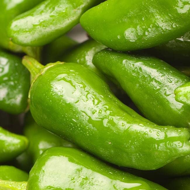 10 Seeds Padron Pepper (Capsicum annuum) – Mild, Flavorful Spanish Pepper