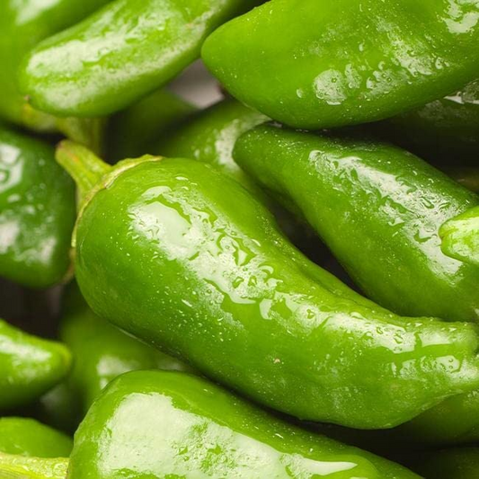 10 Seeds Padron Pepper (Capsicum annuum) – Mild, Flavorful Spanish Pepper
