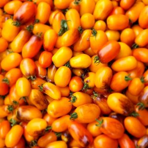 15 Golden Hour Micro Dwarf Tomato Seeds – Heirloom, Non-GMO, Compact & High-Yield