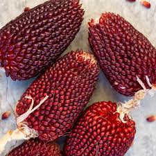 Strawberry Popcorn Corn Seeds | Heirloom, Non-GMO | 2-3" Red Ears | 100 Days to Maturity | USDA Zones 2-10 |
