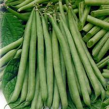 10 Seeds Petite Filet French Bean - Phaseolus vulgaris | Tender, Crisp Beans for Planting, Gardening & Culinary Delights
