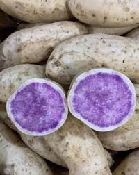10 Hawaii Okinawa Purple Sweet Potato Slips - Khoai Lang Tim - No Roots, No Leaves, Easy to Grow Unroot Cuttings, Fast Growing