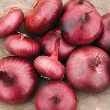 25 Red Cipollini Onion Seeds - Non-GMO, Heirloom Seeds For Planting, Sweet & Flat, USA Grown, Perfect for Roasting and Pickling