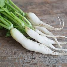1 Gram Seeds Japanese Minowase Daikon Radish – Raphanus sativus | Heirloom Seeds for Planting, Gardening & Crisp White Harvests