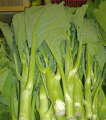 500mg Chinese Broccoli Kailaan Seeds - Open Pollinated Asian Green - Heirloom Non-GMO for Stir-Fries, Soups, & Garden Veggies