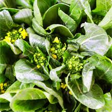 500mg Yu Choy Sum Seeds - Flowering Brassica Jung Green - Heirloom Non-GMO Asian Green for Stir-Fries, Soups, & Gardening