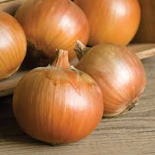 Patterson Onion Seeds, 500+ Long-Day Storage Onion Seeds, Sweet & Mild Flavor, USDA Zones 3-9, Vegetable Garden Seeds