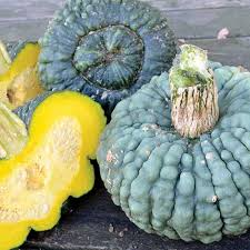 25+ Marina Di Chioggia Squash Seeds – Heirloom Warted Winter Squash for Garden Planting, Sweet & Nutty Flesh for Cooking – USA