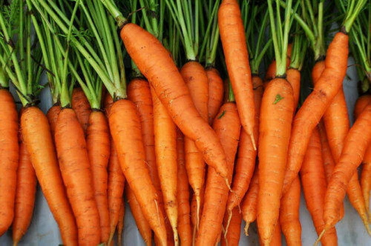 2,000 Imperator Carrot Seeds - Heirloom, NON-GMO, All-America Selections,