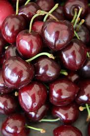 10+ Noir de Guben Cherry Seeds – Rare, Sweet, Juicy Black Cherry Tree
