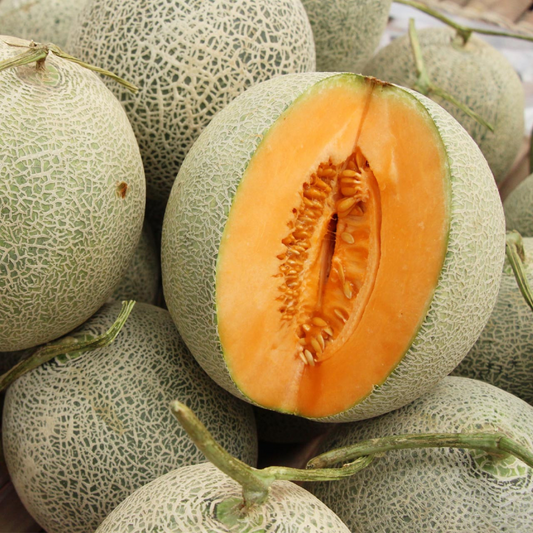 20 Seeds Hales Best Jumbo Cantaloupe, Cucumis Melo, Sweet & Juicy Melon