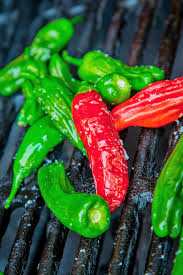 250 mg Seeds Shishito Oriental Hot Pepper – Capsicum annuum | Mildly Spicy Japanese Pepper for Planting, Sautéing & Grillin