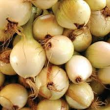 250 mg Seeds Walla Walla Sweet Onion – Allium cepa | Heirloom Sweet Onion for Planting, Gardening & Delicious Harvests