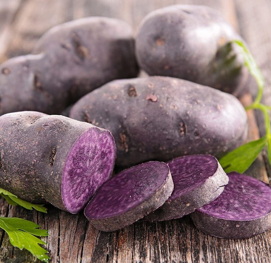 Blue Adirondack Seed Potatoes - USDA Certified, 500g Purple Potatoes for Planting, Nutrient-Rich, Vibrant & Versatile for Home Gardens