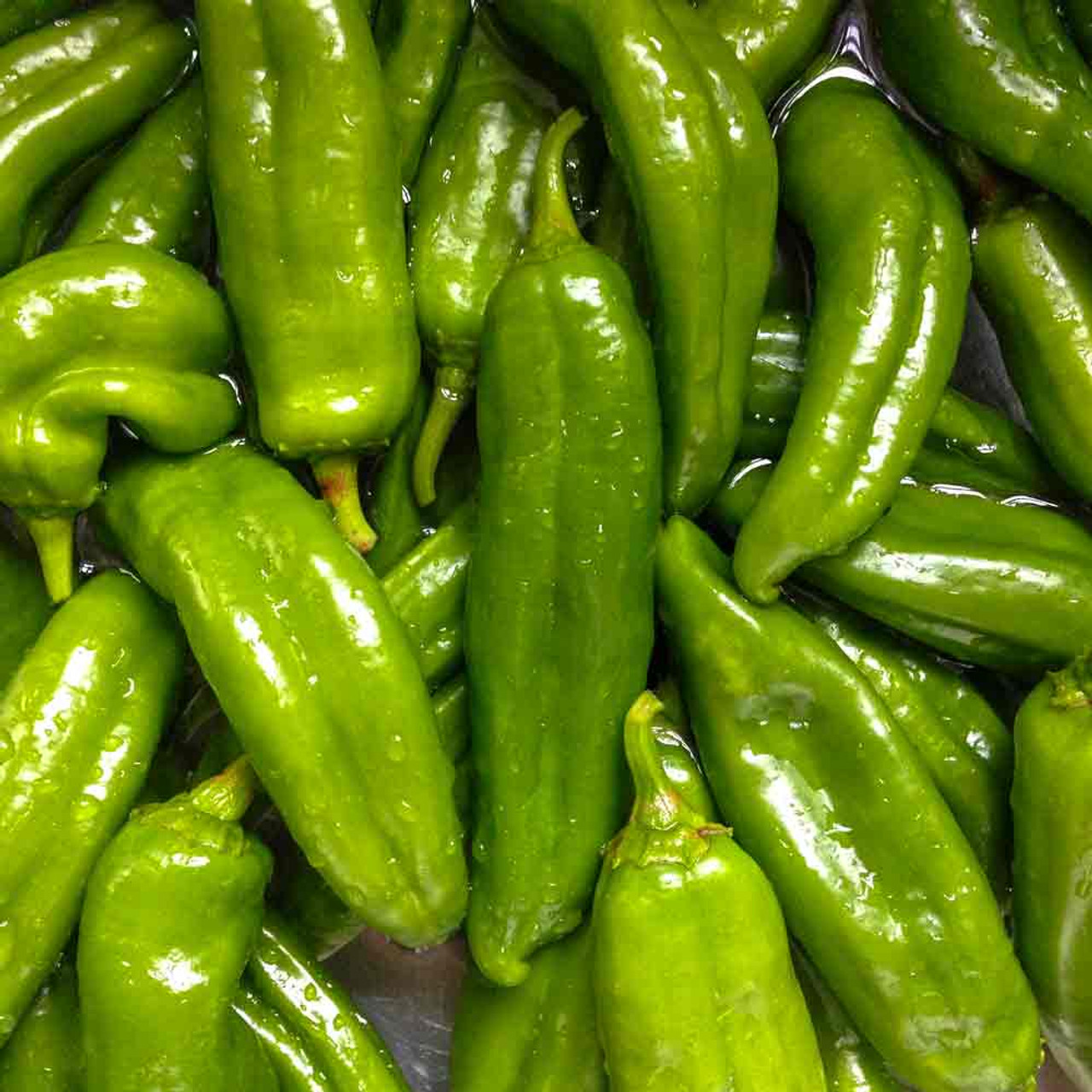 Anaheim Hot Pepper Seeds – 300mg for Planting, Heirloom Variety, Mild Heat & Sweet Flavor, High Yield, Heat Tolerant, Garden Container