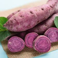 5 Pounds All Purple Sweet Potato - Organic, Ready to Grow - Japanese Variety, Fast-Growing, Hardy, and Nutritious