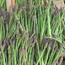 10 Jersey Giant Asparagus Live Bare Root Crowns | 2-Year Plants for High Yield | Cold Hardy & Disease Resistant | Easy to Grow