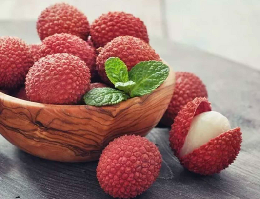 1 Lychee (Litchi chinensis) Tropical Live Fruit Tree – 12”-24” Rooted Cutting, Sweet Fragrant Fruit, Rare Exotic Starter Plant