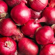 250 mg Seeds Onion Red Grano – Allium cepa | Heirloom Red Onion Seeds for Planting, Gardening & Flavorful Harvests