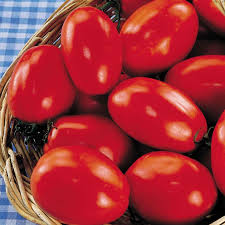 30 Seeds San Marzano Short Vine Tomato, Lycopersicon Esculentum, Indeterminate Heirloom Variety