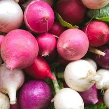 200 Seeds Easter Egg Radish (Raphanus sativus) – Colorful Blend, Crisp & Mild
