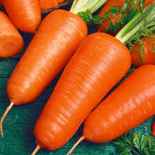1g Chantenay Red Cored Carrot Seeds | Daucus carota | Heirloom Carrot Seeds | Organic, Sweet & Easy to Grow