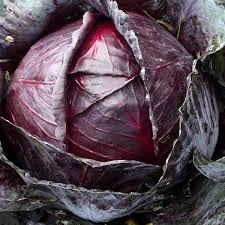 750 Red Acre Cabbage Seeds - Non-GMO Heirloom, Reddish-Purple Heads, Gourmet Variety