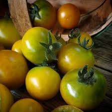 15 Fat Frog Micro Dwarf Tomato Seeds – Heirloom, Non-GMO, Compact & High-Yield