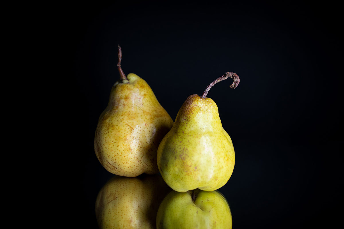 Bartlett Pear – 1 Live Fruit Tree, 5-Gallon Size – Pyrus communis ‘Bartlett’