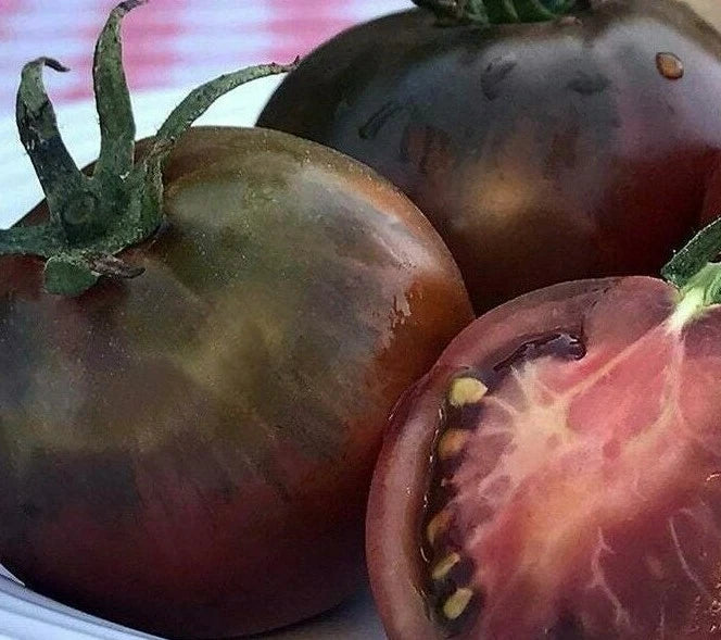 Black Prince Tomato Seeds 50+ Count, Indeterminate Vegetable Seeds, Heirloom Variety, Solanum lycopersicum