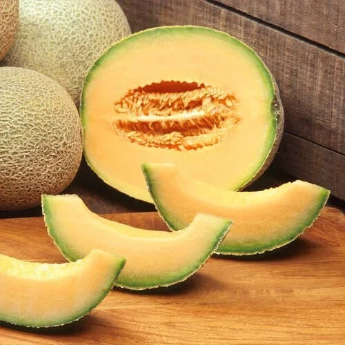 Cantaloupe Seeds - Heirloom Non-GMO Variety - Edisto 47 - Cucumis melo