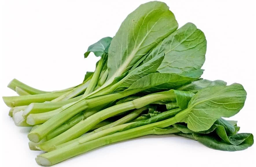 Yu Choy Sum Seeds - 100+ Seeds - Jung Green - Vegetable Seeds for Outdoor Planting - Brassica rapa subsp. chinensis