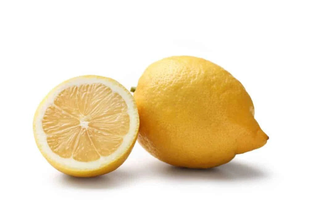 Interdonato Messina Lemon Seeds - 5+ Pack - Citrus limon - Ideal for Garden Planting - USA Grown