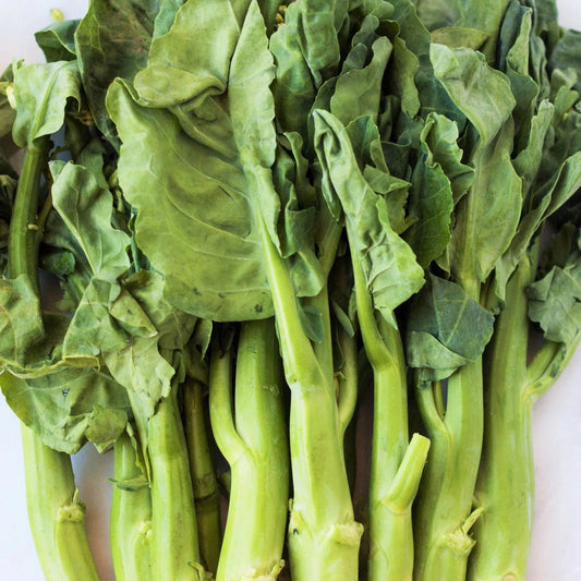 Chinese Broccoli Seeds - 500+ Count - Jie Lan Gai Lan Rapini - Brassica oleracea var. alboglabra - Ideal for 2025 Planting