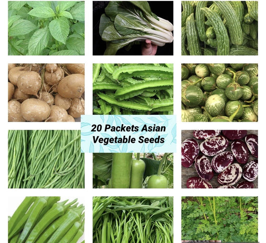 20 Packets Asian Vegetable Seeds Variety - Non-GMO Heirloom Seeds for Home Garden - USA Seller