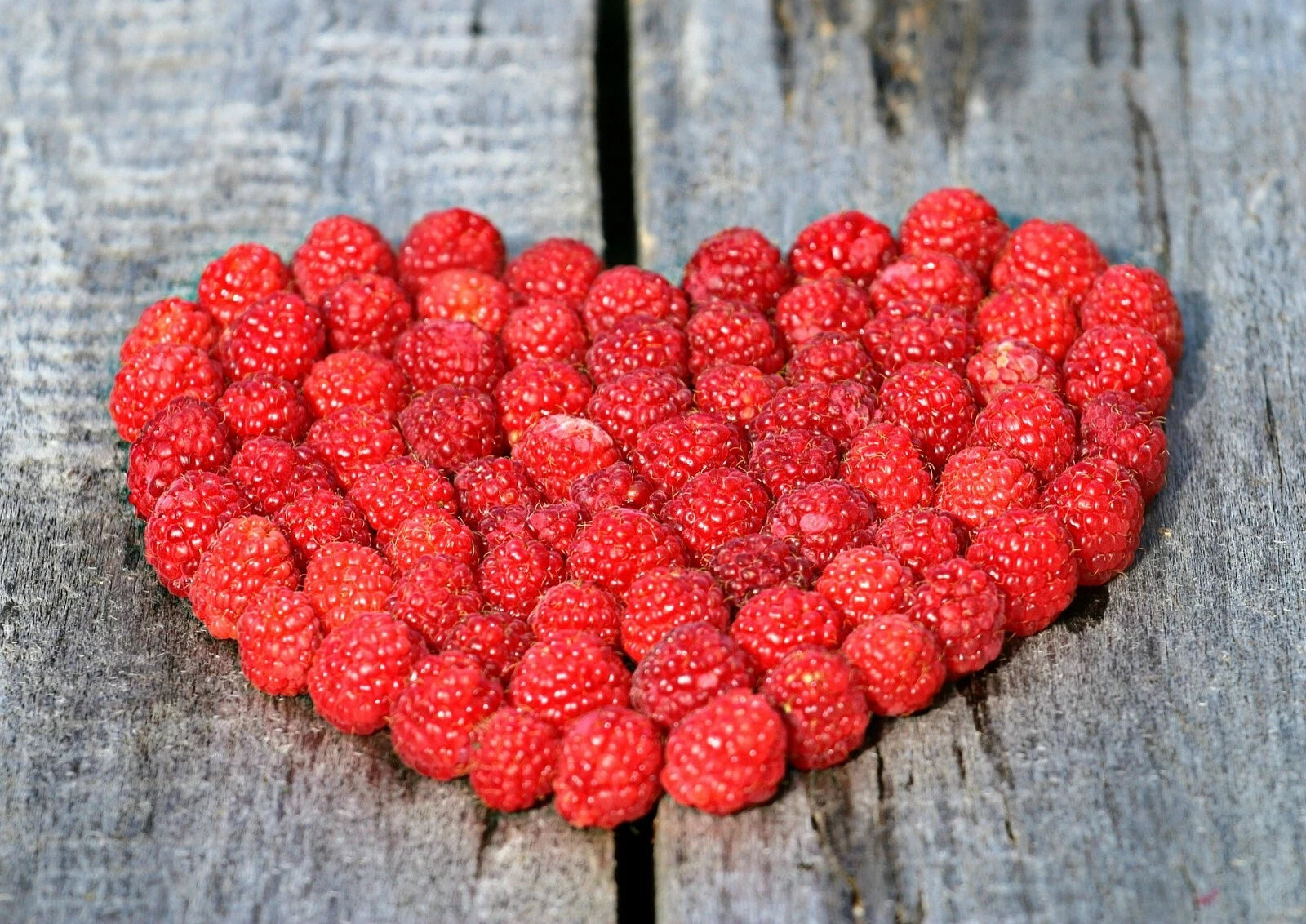 Red Raspberry Seeds - 50+ Pack - High Germination Rate, Non-GMO - Rubus idaeus