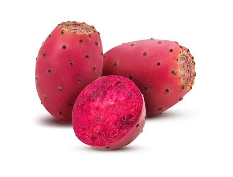 Cold-Hardy Prickly Pear Opuntia Cactus Seeds - Sweet Flavor, High Antioxidant - 20 Seeds