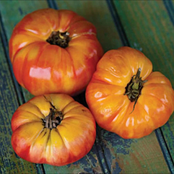 Big Rainbow Tomato Seeds - 20, 100, or 200 Heirloom Beefsteak Variety - Rare & Meaty (Solanum lycopersicum)