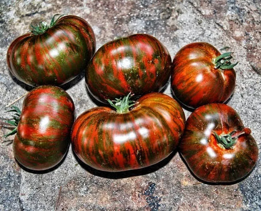 Chocolate Stripe Tomato Seeds - Heirloom Organic Non-GMO - 30+ Seeds - Rare Variety