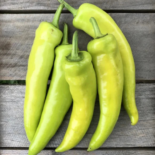Hungarian Hot Wax Pepper Seeds - 100+ Count - 15,000 Scoville - Ideal for 2025 Planting - Capsicum annuum