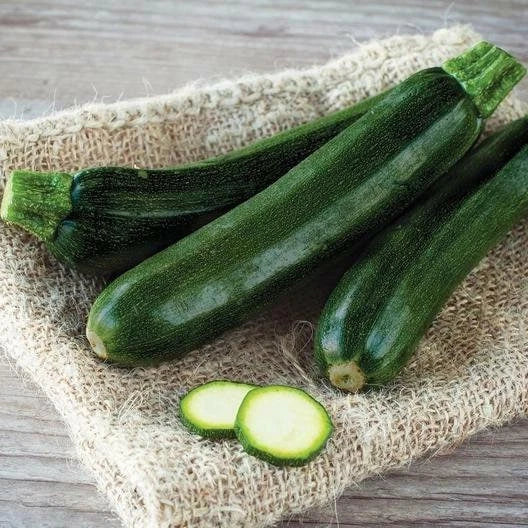 Black Beauty Zucchini Seeds - Summer Squash - Cucurbita pepo - Trackable Shipping for Home Garden